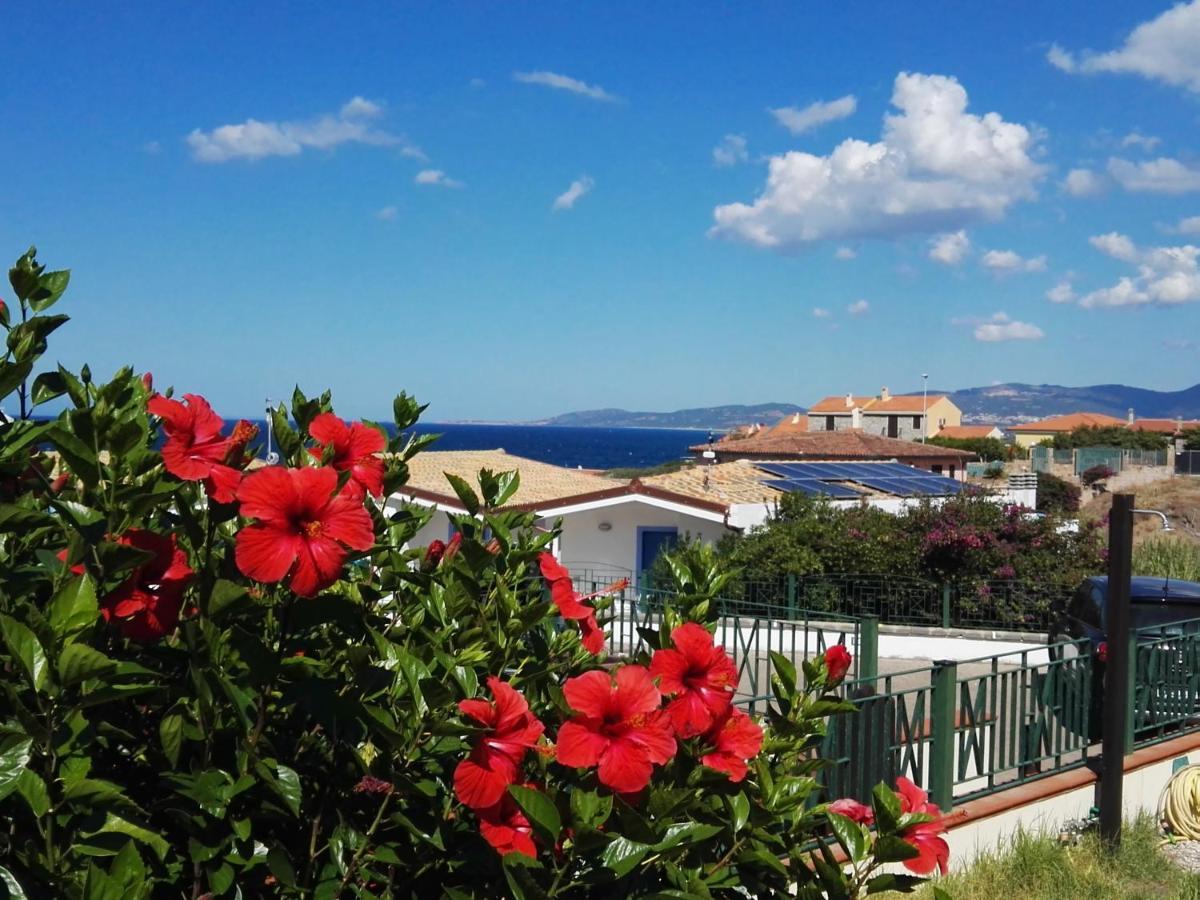 Sardamare Apartments Appartamenti La Ciaccia Valledoria  Dış mekan fotoğraf
