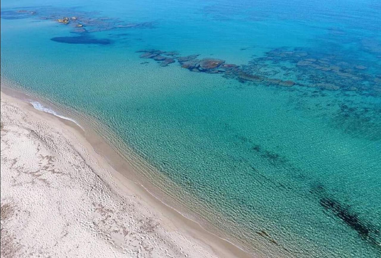 Sardamare Apartments Appartamenti La Ciaccia Valledoria  Dış mekan fotoğraf